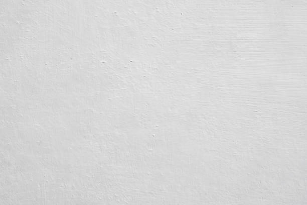 Environmental Consulting for Mold Prevention in Logan, UT